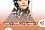 ضرب المثل مرغ همسایه غازه