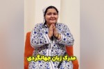 زبان آموز 14 زبانه 